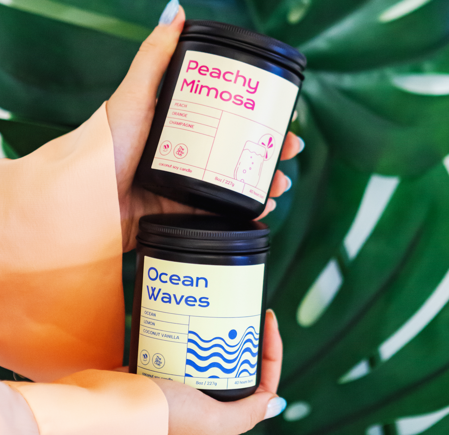 Ocean Waves